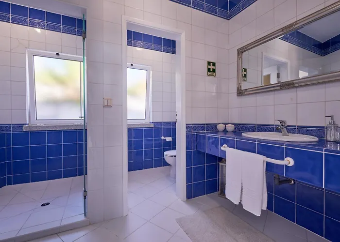 A Casa Branca - With Pool&jacuzzi * Santa Comba Dao