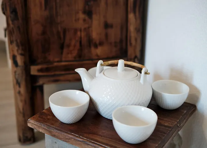 A Casa Branca - With Pool&jacuzzi Santa Comba Dao